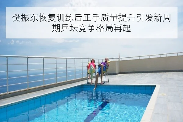 樊振东恢复训练后正手质量提升引发新周期乒坛竞争格局再起